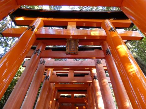 Zdjęcie nr 5 (13)
                                	                             Zdjęcie Tomasza Jakutowicza z pobytu w Japonii. Zdjęcie przedstawia czerwone bramy.
                            