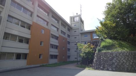 Photo no. 1 (13)
                                                         Zdjęcie Tomasza Jakutowicza z pobytu w Japonii. Zdjęcie przedstawia biało-pomarańczowy budynek i zielony skwer.
                            